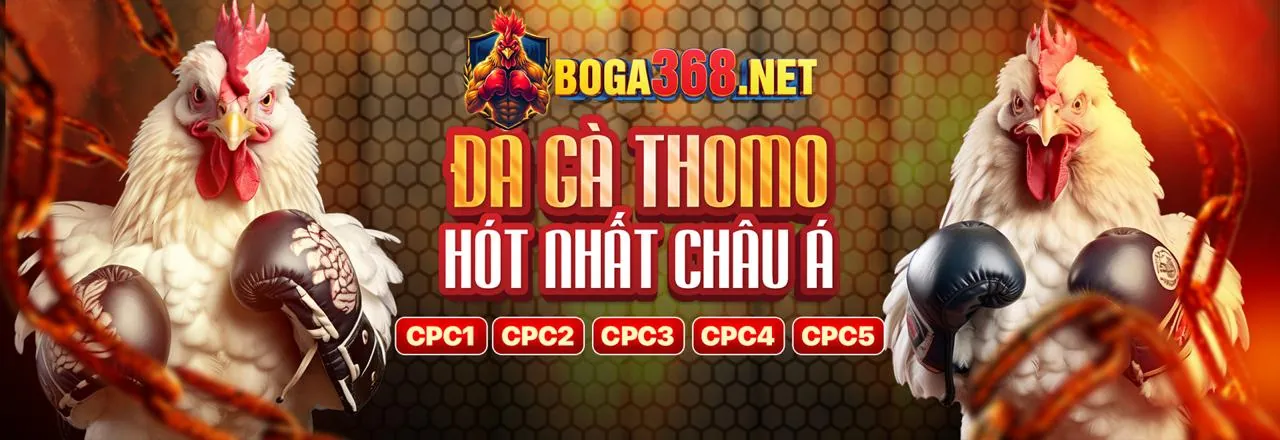 Hình ảnh sang trọng của Câu lạc bộ VIP dagac3 uy tín với các đặc quyền độc quyền