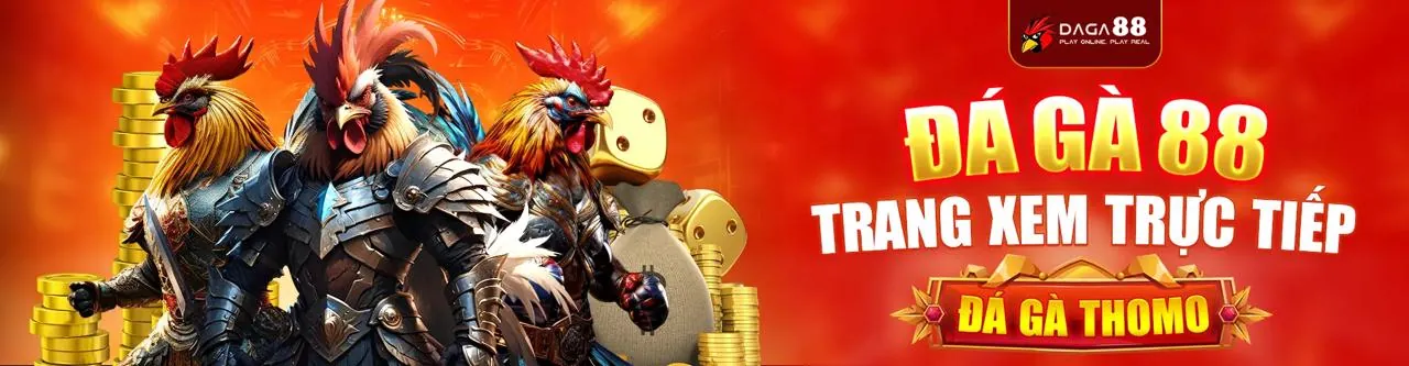 Đá gà trực tuyến kịch tính tại dagac3 uy tín